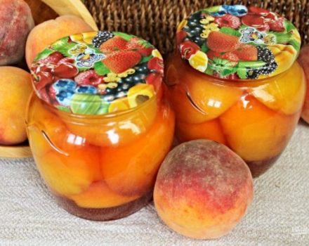 TOP 4 receptai, kaip gaminti konservuotus persikus sirupe žiemai