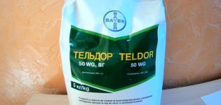 Instructies voor het gebruik van het fungicide Teldor, compatibiliteit en analogen