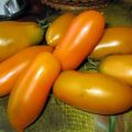 Eigenschaften und Beschreibung der Sorte der Tomaten Goldfisch, sein Ertrag