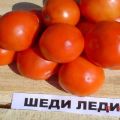 „Shedi lady“ pomidorų veislės charakteristikos ir aprašymas, derlius