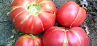 Egenskaper och beskrivning av tomatsorten Mormors gåva, dess utbyte