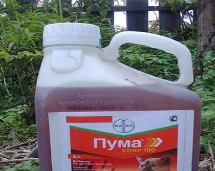 Instruktioner för användning av herbicid Puma Super 100 och konsumtionsnivån för läkemedlet