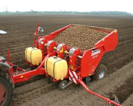 Typer av potatisplantare för en bakomgående traktor, hur du gör det själv, deras fördelar och principen för drift