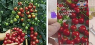 Beskrivning av tomatsorten Barnens glädje och dess egenskaper
