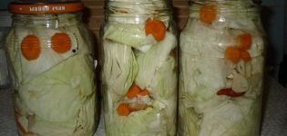 TOP 15 συνταγές για την προετοιμασία κενών από λευκό λάχανο για το χειμώνα