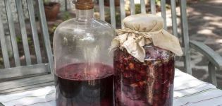 TOP 7 jednoduchých receptů pro výrobu vína z džemu doma