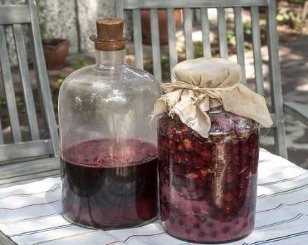 TOP 7 enkle opskrifter til fremstilling af vin fra marmelade derhjemme