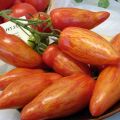 Pomidorų veislės Maskvos delikatesas charakteristikos ir aprašymas, jo derlius