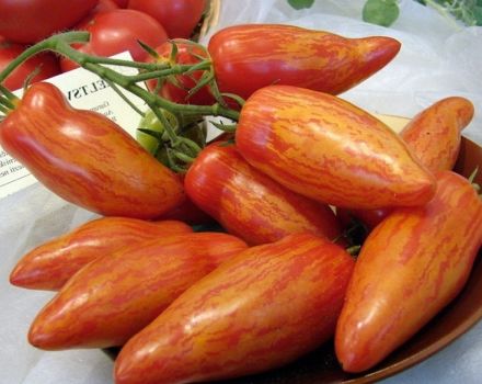 Pomidorų veislės Maskvos delikatesas charakteristikos ir aprašymas, jo derlius