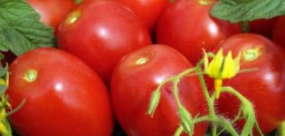 Vad är bestämmande och obestämda tomatsorter, som är bättre