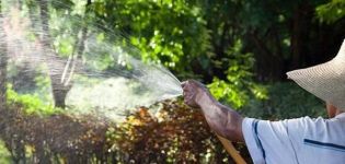 Mô tả 24 loại thuốc trừ nấm tốt nhất cho vườn, cơ chế hoạt động và hướng dẫn sử dụng