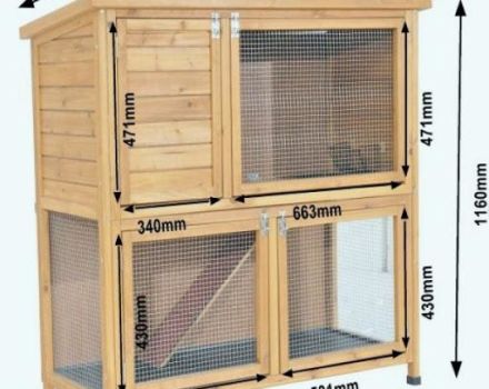 Diagramme und Zeichnungen von Käfigen für dekorative Kaninchen und wie man es selbst macht