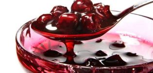 8 chutných receptov na čerešňovú marmeládu Päť minút na zimu