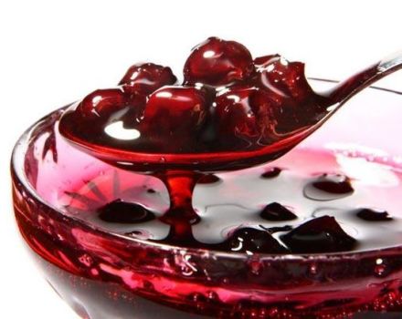8 delicious recipes for pitted cherry jam Five minutes for the winter