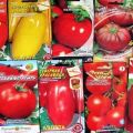 Geriausios olandiškų pomidorų sėklų veislės šiltnamiams ir atvirame lauke