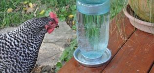Врсте и уградња посуда за пиће за пилиће, како то учинити сами