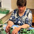 Vi planterar tomater i en snigel enligt metoden enligt Julia Minyaeva