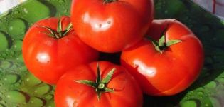 Beskrivning av tomatsorten Druzhok och dess egenskaper