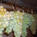 Hoe u druiven thuis op de juiste manier kunt bewaren voor de winter in de koelkast en kelder