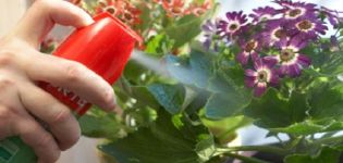Lista över de bästa fungiciderna för inomhusväxter och instruktioner för användning av preparat