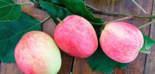 Beskrivning och egenskaper hos Arkadik äppelträd, dess fördelar och nackdelar