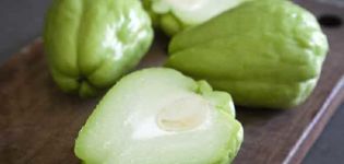 Description of the Mexican cucumber variety, cultivation features and yield