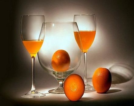 6 paprasti naminio apelsino vyno receptai