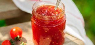 TOP 13 recepten voor het koken van tomatenkruiden voor de winter