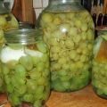 17 beste recepten voor het oogsten van druiven voor de winter thuis