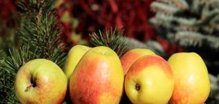Descrizione della varietà di mele Rossoshanskoe Tasty (Amazing), coltivazione e cura