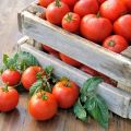 Tretjakovskas tomātu šķirnes raksturojums un apraksts, tās raža