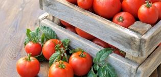 Egenskaper och beskrivning av Tretyakovsky-tomatsorten, dess utbyte
