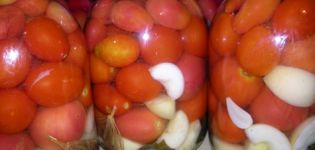 Receptes tomātu kodināšanai ar ābolu sidra etiķi ziemai