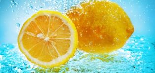 Varför citron är användbart och skadligt för människokroppen, egenskaper och kontraindikationer