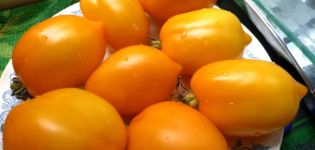Tomaattilajikkeen ominaisuudet ja kuvaus Wonder of the World, sen sato