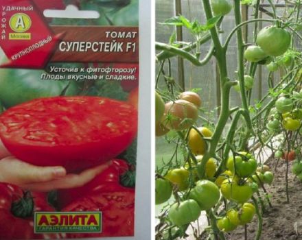 Beskrivning av Super Steak-tomatsorten och dess utbyte och odling