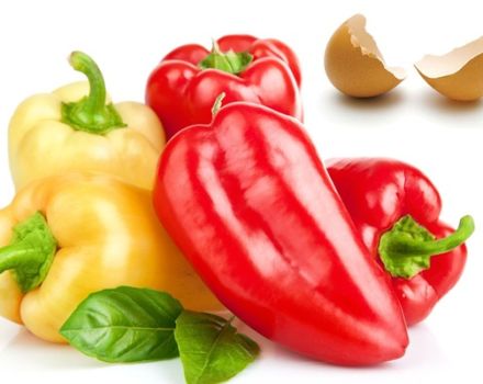 Hur kan paprika matas efter plantering i marken för en rik skörd
