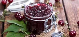 TOP 8-recept för att göra körsbärssylt med frön för vintern