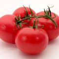 Charakteristiky odrody paradajok Solerosso, jej výnos