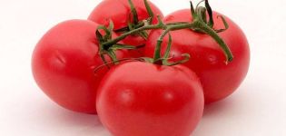 Egenskaber ved Solerosso-tomatsorten, dens udbytte