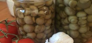 Nangungunang 10 mga recipe para sa instant homemade adobo champignon para sa taglamig