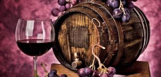 Rules for storing wine in an oak barrel at home, aging features