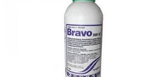 Fungicido Bravo naudojimo instrukcijos, produkto sudėtis ir atpalaidavimo forma