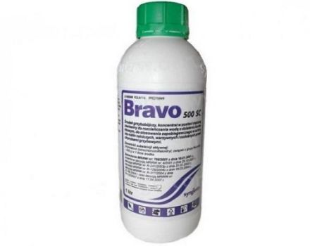 Οδηγίες για τη χρήση του μυκητοκτόνου Bravo, σύνθεση και μορφή απελευθέρωσης