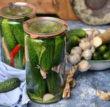 Which varieties of cucumbers are best suited for canning and pickling, names