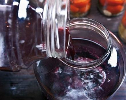 De bästa recepten för att göra vin från sura druvor hemma