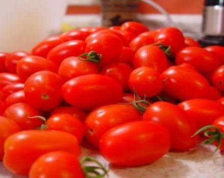 Caratteristiche e descrizione della varietà di pomodoro Novità dalla Transnistria