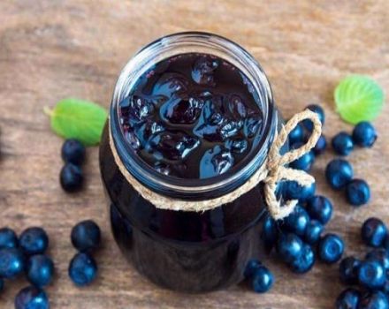 Isang simpleng hakbang-hakbang na recipe para sa blueberry jam Pyatiminutka para sa taglamig