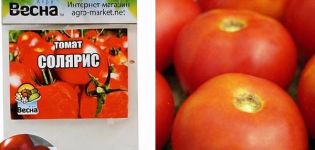 Descripción de la variedad de tomate Solaris, características de cultivo.