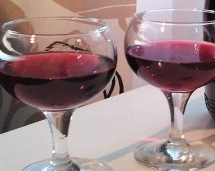 2 receptai vynui gaminti iš vynuogių išspaudų namuose